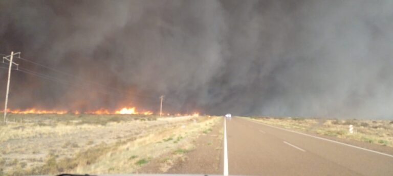Continúa activo el incendio en Puerto Madryn