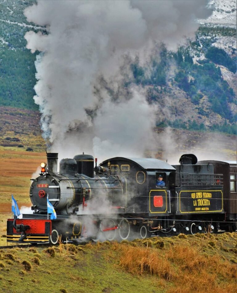 “La Trochita” comienza el 2022 con una salida especial por el centenario