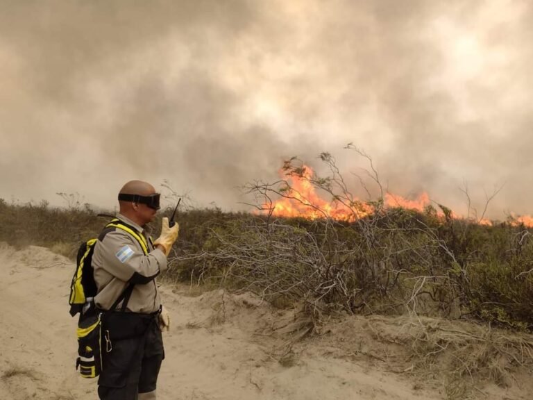 Continúan los trabajos para controlar el incendio al norte de Puerto Madryn