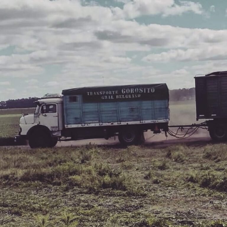 Es camionero y hace mudanzas gratis para los jóvenes que viajan a estudiar