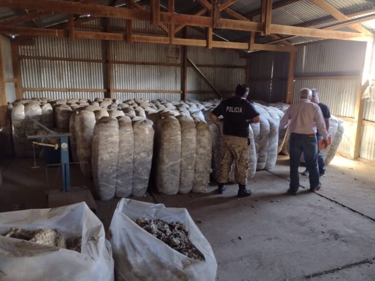 Era falsa la denuncia sobre el robo de los fardos de lana