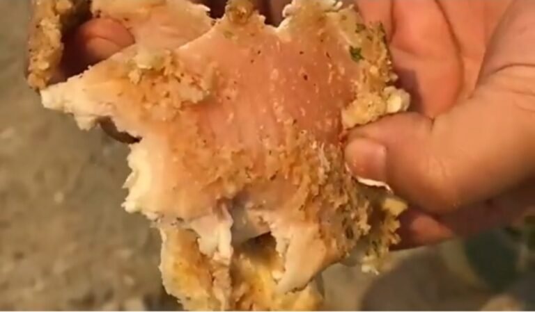 Pollo crudo: la comida para los brigadistas que combaten los incendios