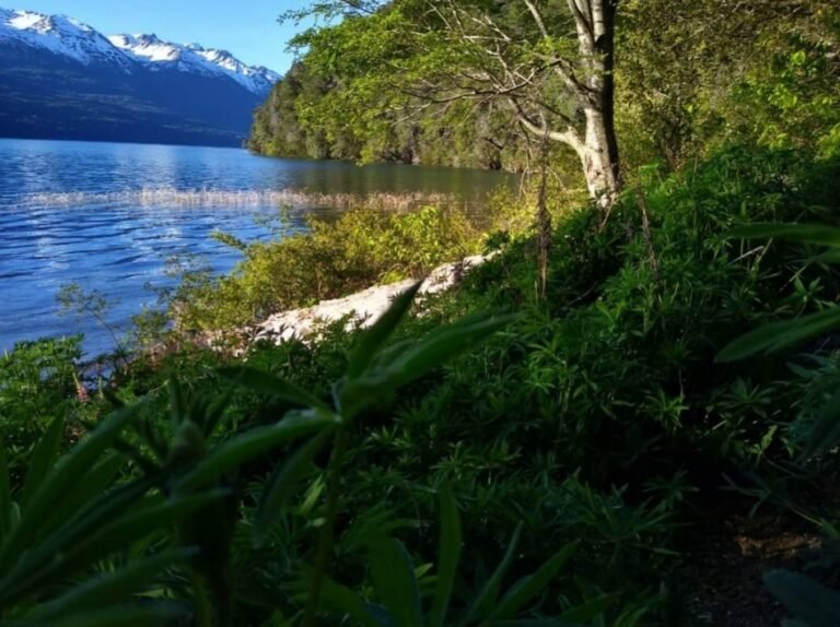 Un matrimonio está grave por un incendio en su casilla