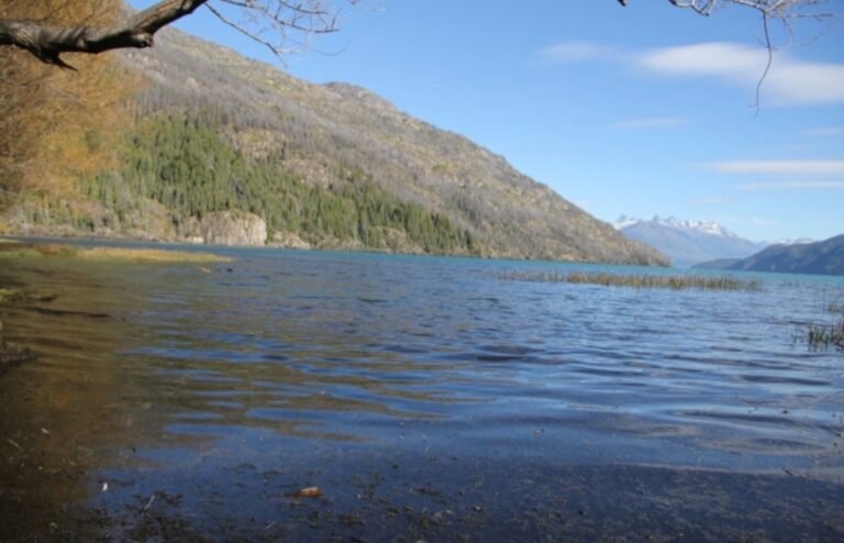 Rescatan un cuerpo sin vida en el Parque Nacional Lago Puelo