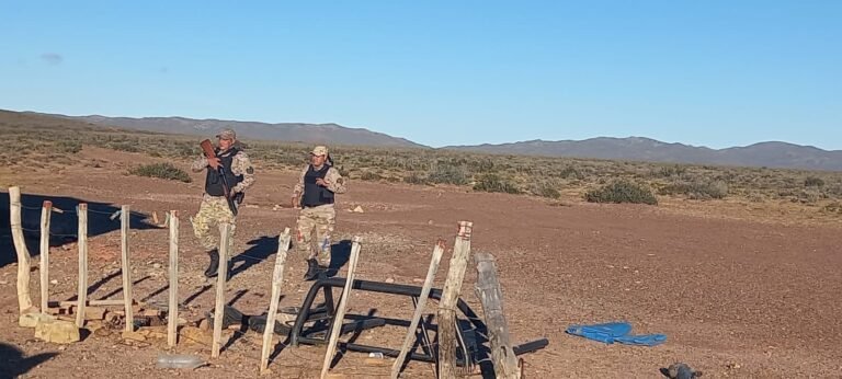 Detuvieron a los dueños de un campo por el robo de cien ovinos