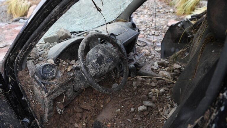 Dos niños y su padre fallecieron arrastrados por un alud