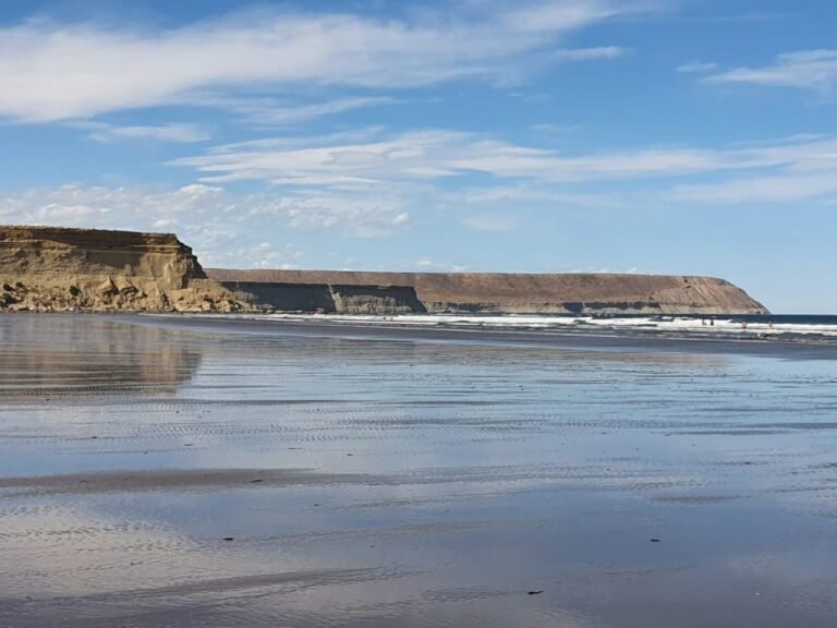 Dejó inconsciente a su pareja luego de golpearla y abandonarla en la playa