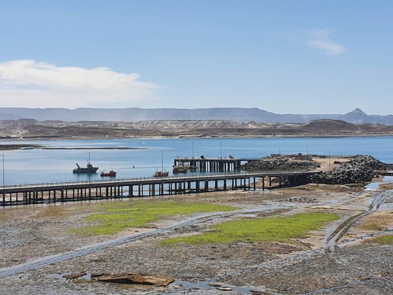 Suspendieron la veda por marea roja en Caleta Córdova