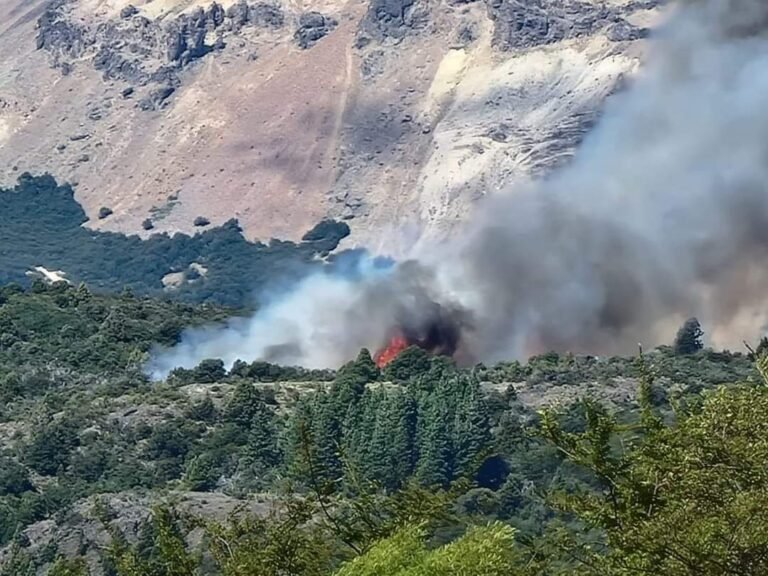 Combaten incendio en Parque Los Alerces