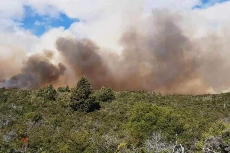 Brigadistas contuvieron el incendio en Laguna Larga