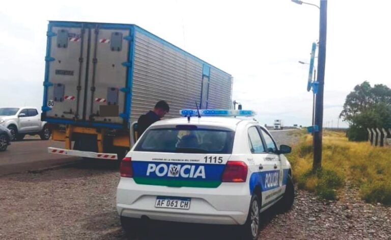 Secuestraron más de 13 mil kilos de langostinos