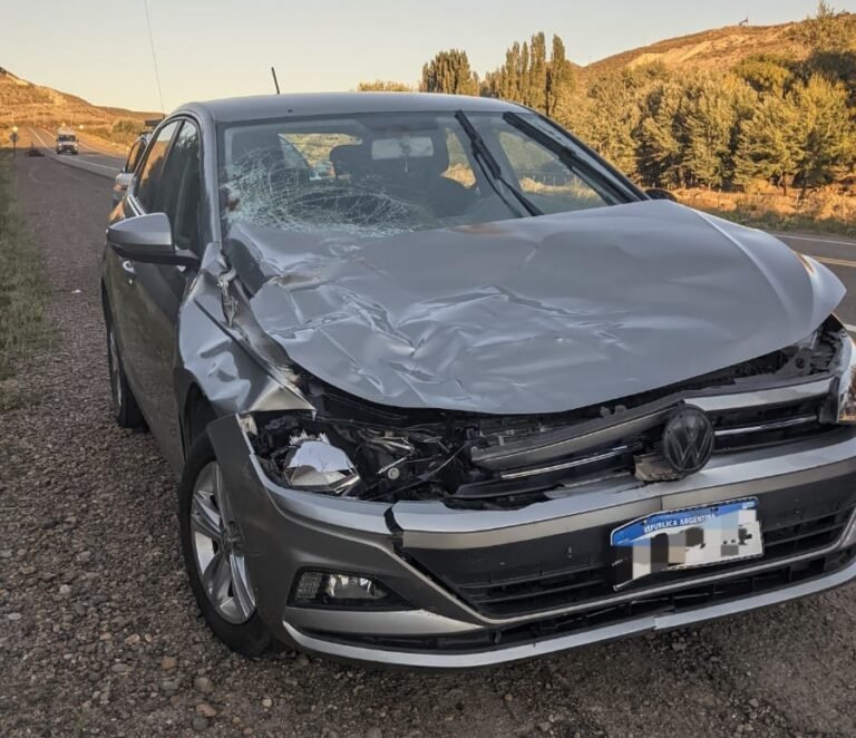 Fuerte choque contra un animal suelto en Ruta 26