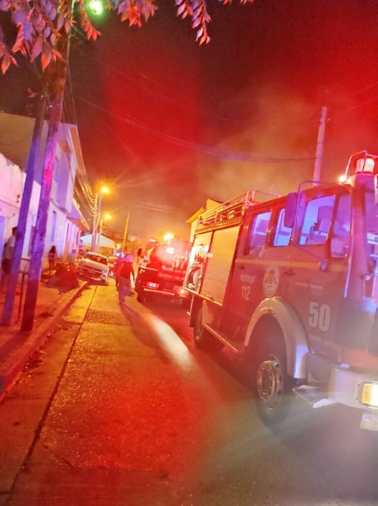 Incendio ocasionado por el fuego de un chulengo