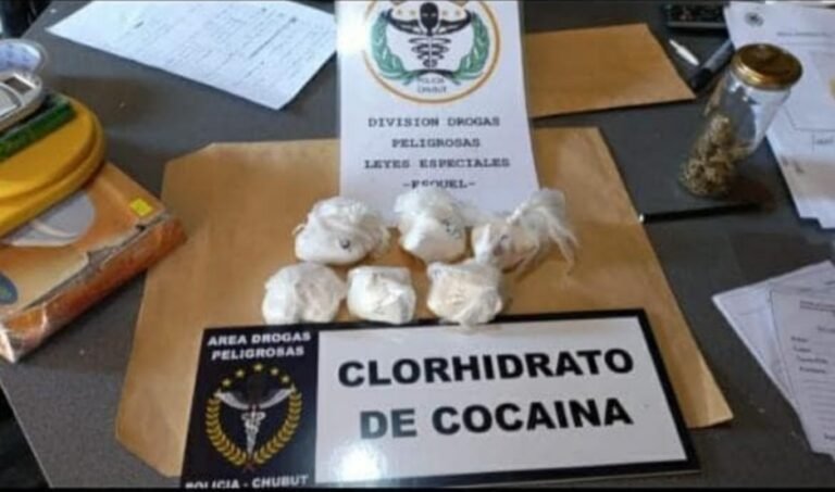 Secuestraron más de 350 dosis de cocaína valuadas en un millón y medio de pesos