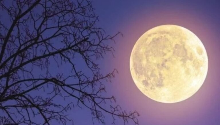 Luna de Nieve 2022: cuándo y a qué hora podrá verse