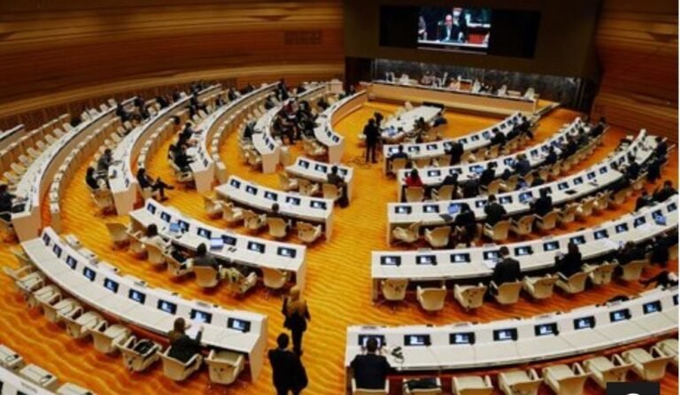 Postura de Argentina en el Consejo de Derechos Humanos de la ONU