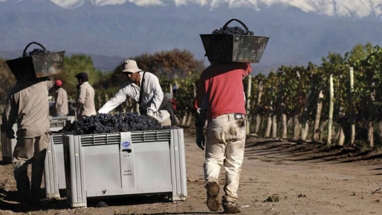 Rescataron a 40 trabajadores explotados como esclavos por un matrimonio