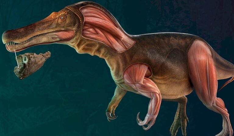 Hallazgo de un dinosaurio carnívoro que regeneraba rápidamente sus dientes