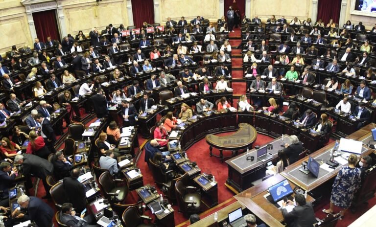 Diputados dio media sanción al acuerdo con el FMI