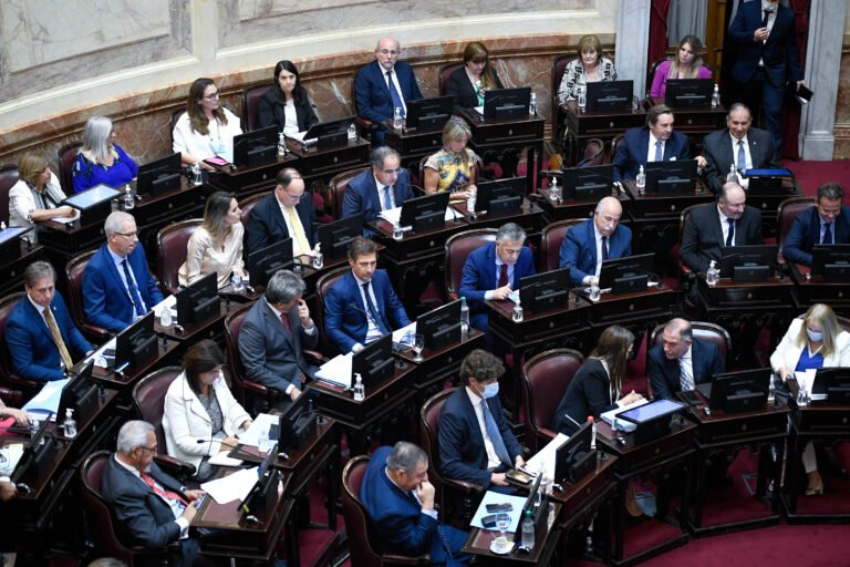 Es ley: el Senado aprobó el acuerdo con el FMI
