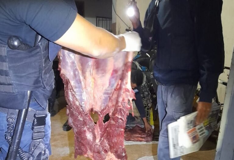 Atraparon dos calentenses armados con más de 100 kilos de carne de guanaco