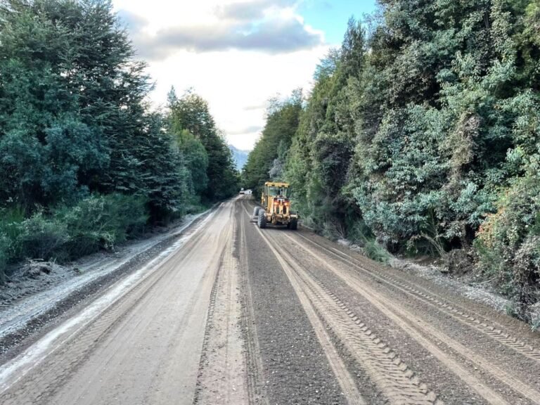 Avanza la pavimentación de la Ruta Provincial Nº 71 en el Parque Nacional Los Alerces