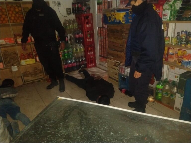 Los agarraron in fraganti cuando saqueaban una verduleria y carnicería