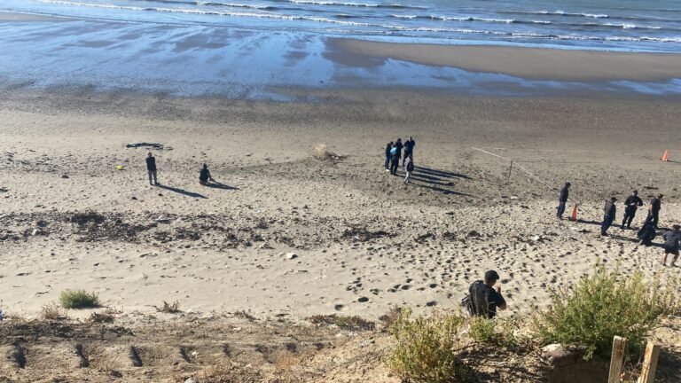 Encontraron un cuerpo sin vida con signos de violencia en la playa del Stella Maris