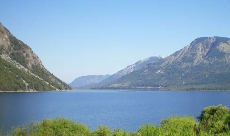 Un cazador furtivo murió de un disparo en un campo