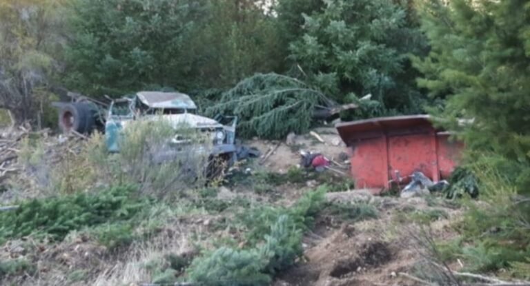 Accidente fatal: 3 muertos en un choque frontal entre un camión y un auto