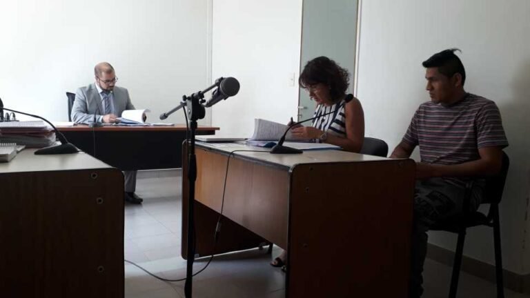 Perpetua para el hombre que mató de un golpe con un bloque a  su expareja