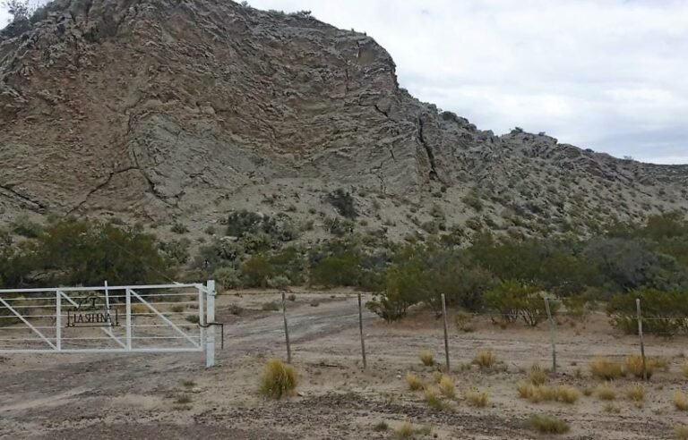Robaron un gran botín de una chacra, incluso el lechón congelado