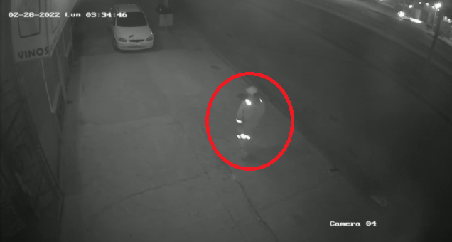 Robó un auto sin forzarlo