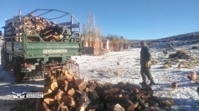 Gendarmería brindó asistencia a familias por las intensas nevadas