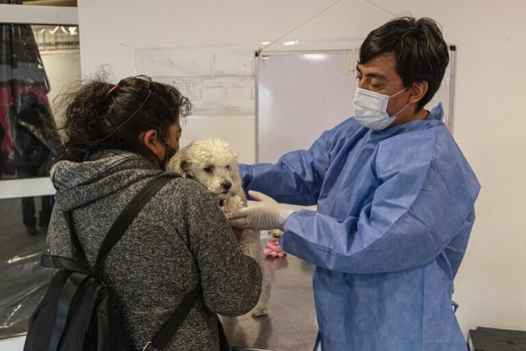 Suman un nuevo punto de esterilización gratuita de animales