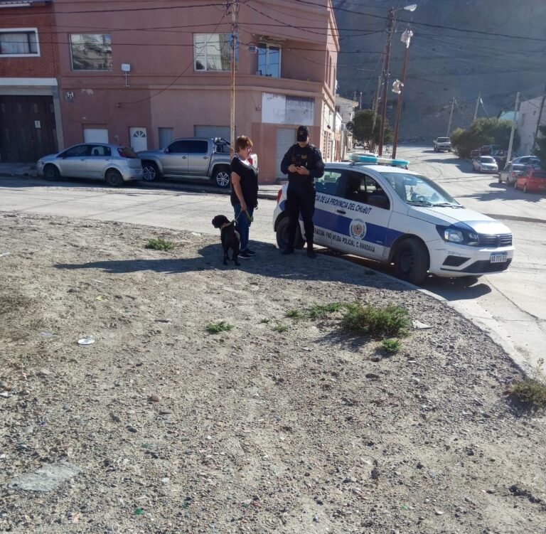 Atraparon a una mujer con pedido de captura nacional