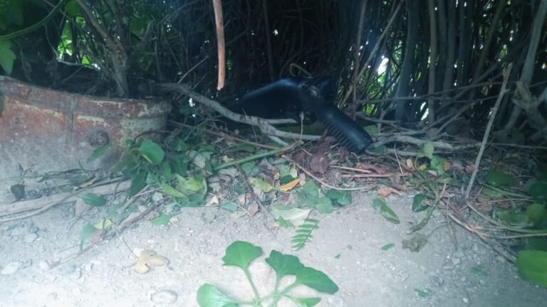 Tras una denuncia por disparos dieron con la presunta arma robada en la seccional Segunda