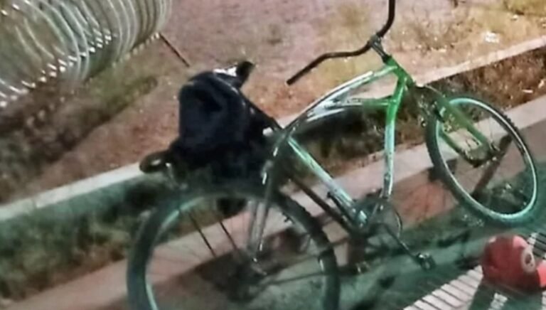 Se quebró los brazos y se partió un diente tras intentar robar