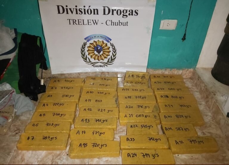 Allanamientos por narcotrafico: 17 detenidos, secuestro de cocaína, marihuana, armas y dinero