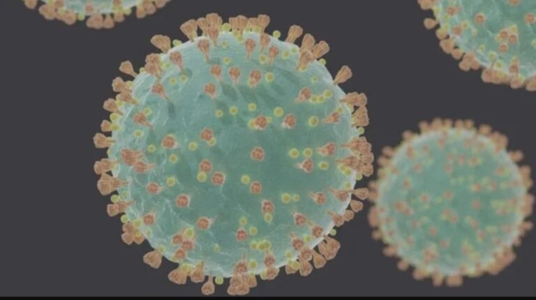 La OMS está analizando dos nuevas variantes de Ómicron