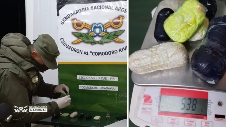 Gendarmeria detectó a una pasajera que ocultaba paquetes de cocaina entre sus prendas