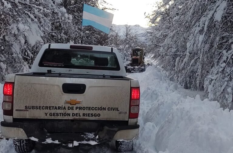 Debieron asistir con leña a pobladores aislados por la nieve
