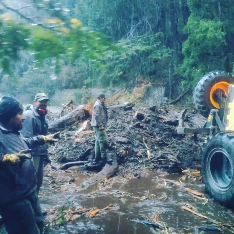 Alud y caída de árboles en el Parque Los Alerces