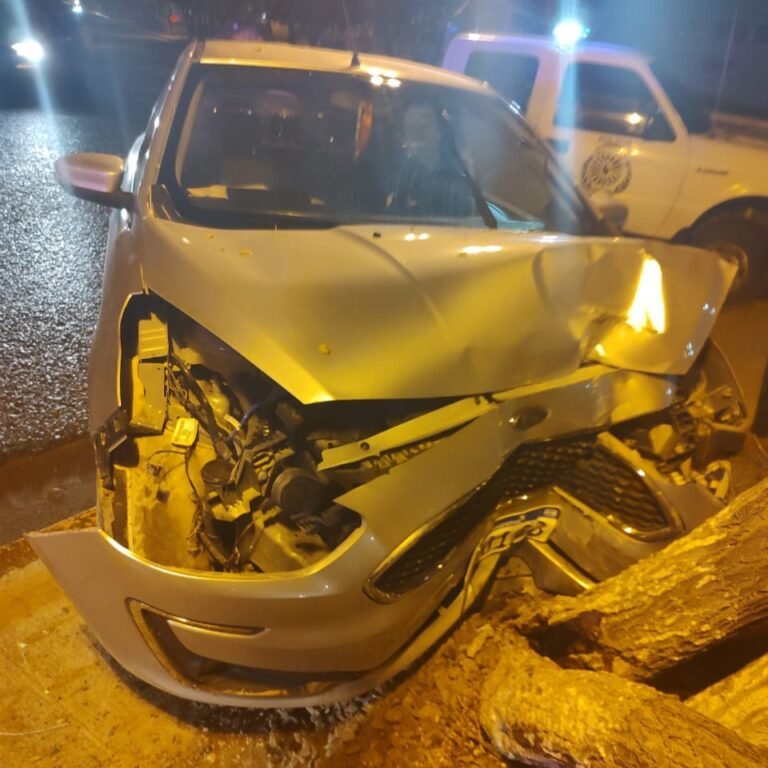 Borracho chocó contra un árbol