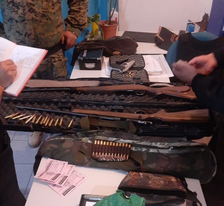 Transportaban guanacos faenados infringiendo la ley de fauna