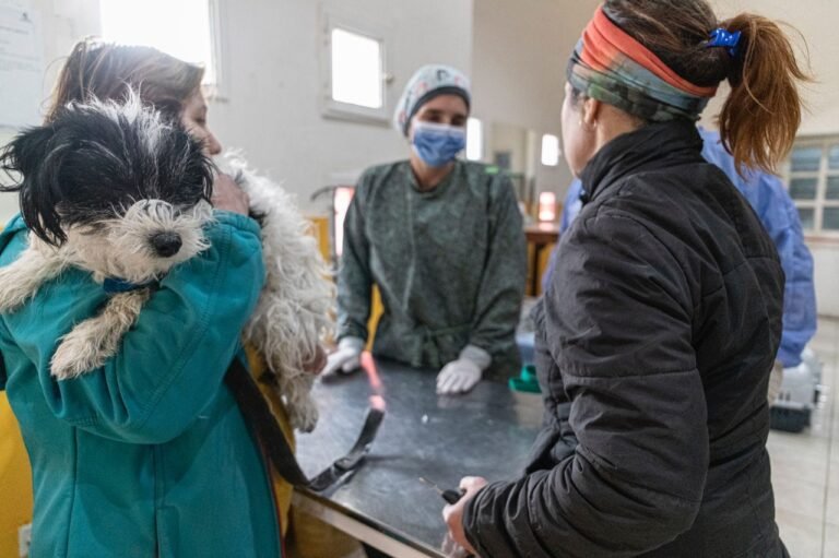 Con gran éxito, se desarrolló el primer fin de semana de esterilización en la ciudad