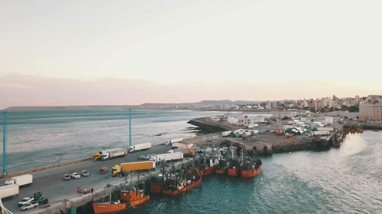 Anunciaron la obra de mantenimiento de dragado del muelle de ultramar