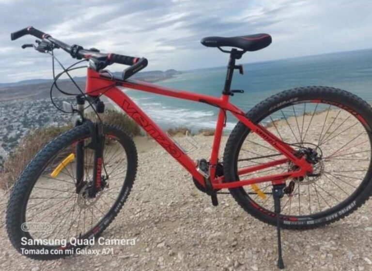 Dañaron el candado de la Esc. 521 y sustrajeron la bicicleta de un docente
