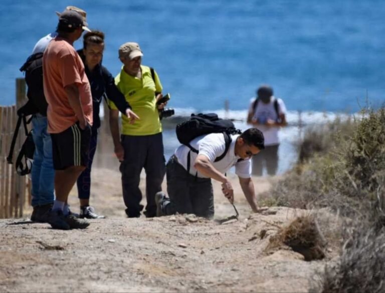 Avanza la investigación por el daño ocasionado por una máquina en la Reserva de Pingüinos