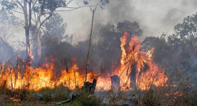 Un peón rural es el primer condenado por los incendios en Corrientes